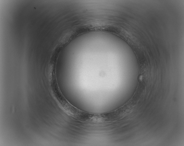 X0000073970742200609051845