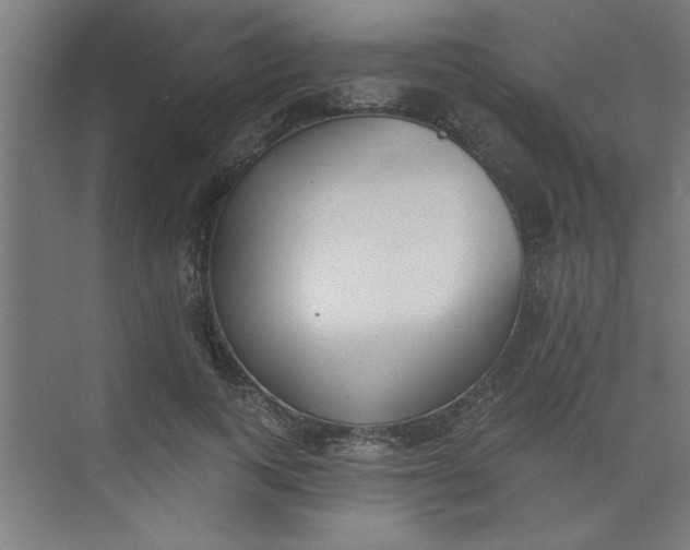 X0000073970743200609051845