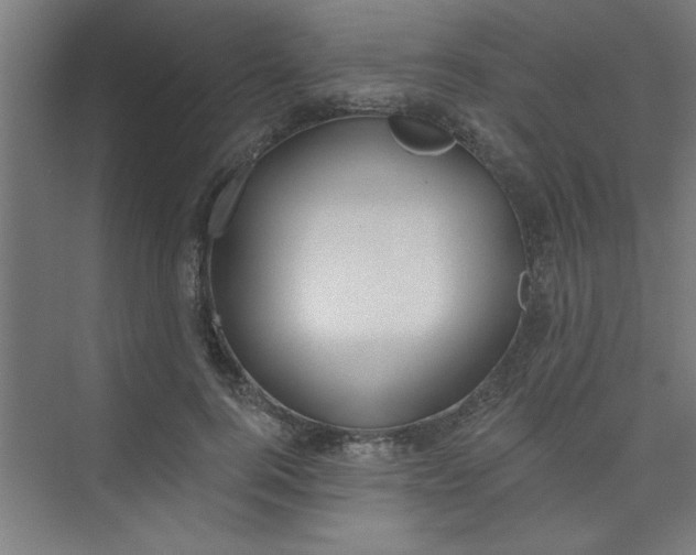 X0000073970744200609051845