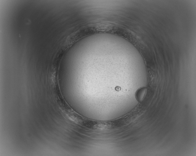 X0000073970745200609051845