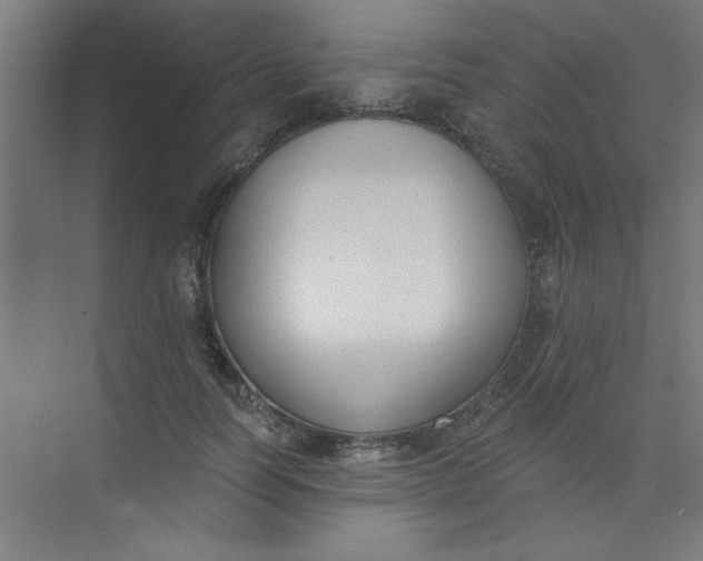 X0000073970746200609051845