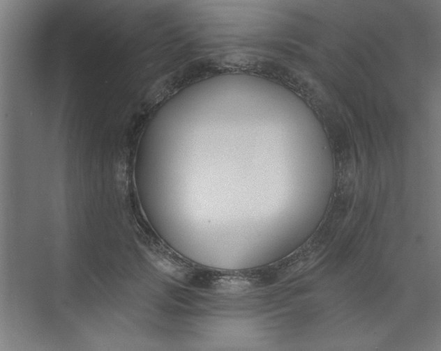 X0000073970749200609051845