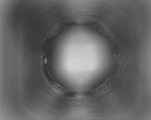 X0000073970750200609051845