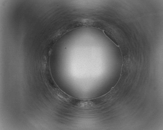 X0000073970752200609051845