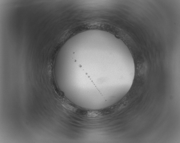 X0000073970753200609051845