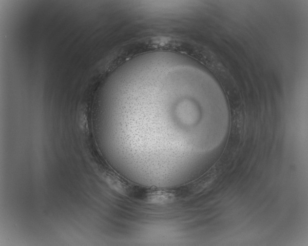 X0000073970754200609051845