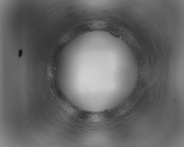 X0000073970755200609051845