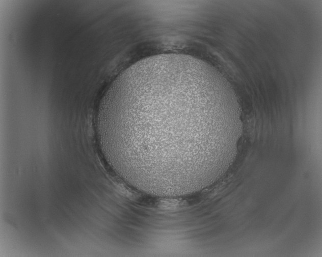 X0000073970757200609051845