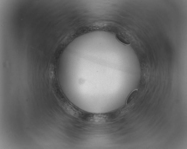 X0000073970758200609051845