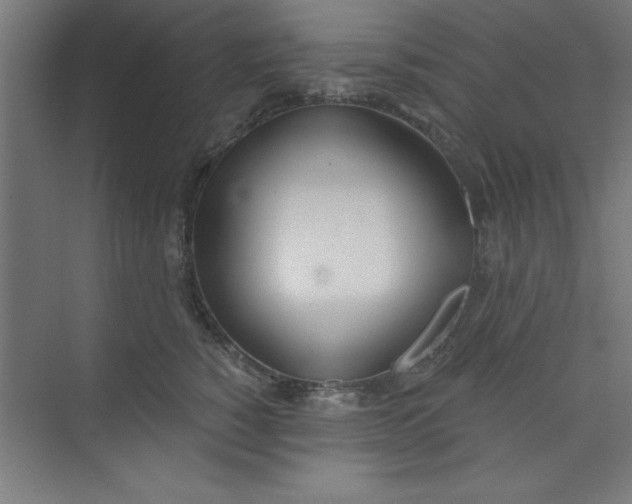 X0000073970760200609051845