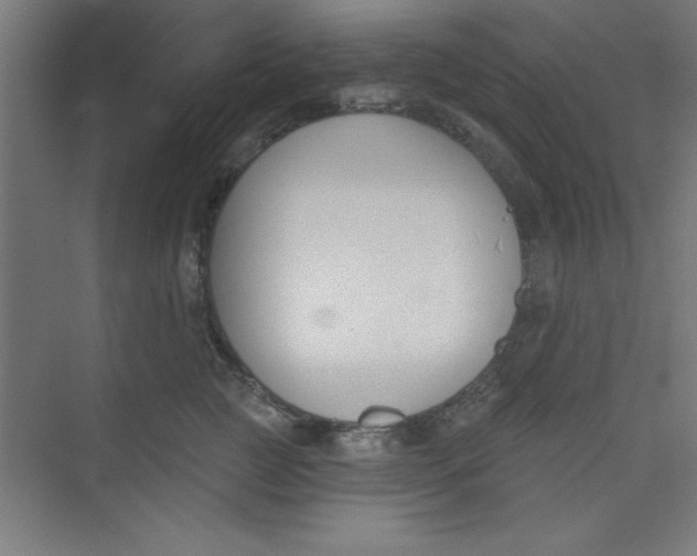 X0000073970761200609051845