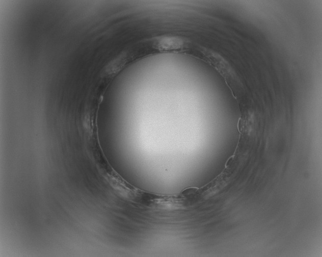 X0000073970763200609051845