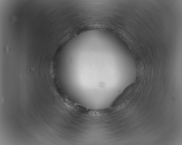 X0000073970764200609051845