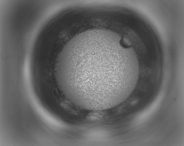 X0000073970765200609051845