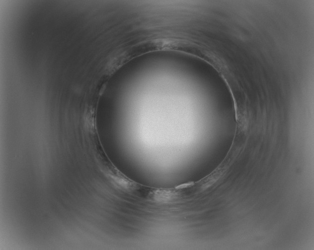 X0000073970766200609051845