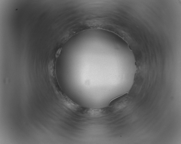 X0000073970767200609051845