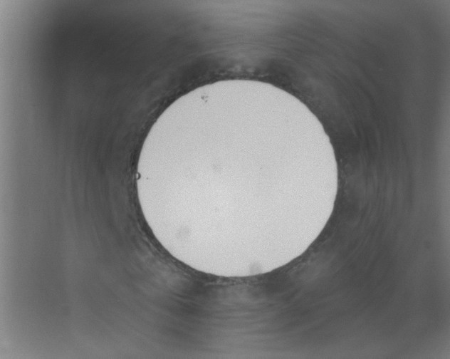 X0000073970769200609051844