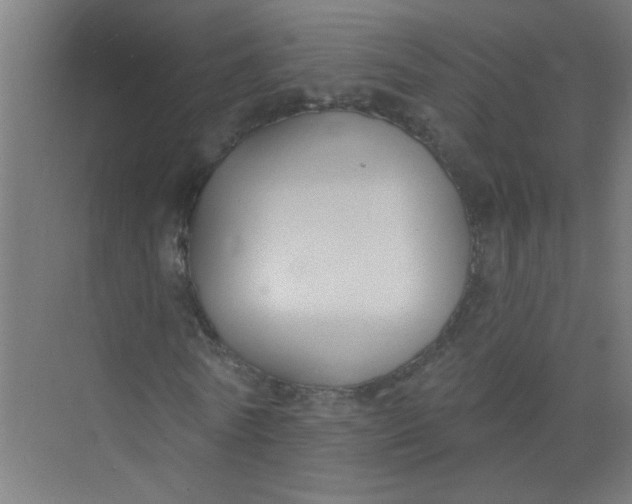 X0000073970770200609051844