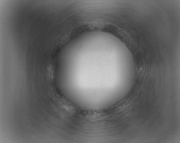 X0000073970772200609051844