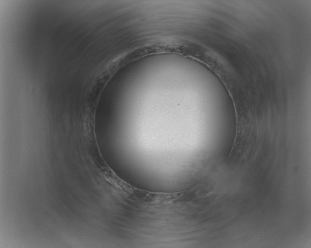 X0000073970773200609051844