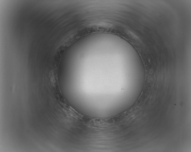 X0000073970774200609051844