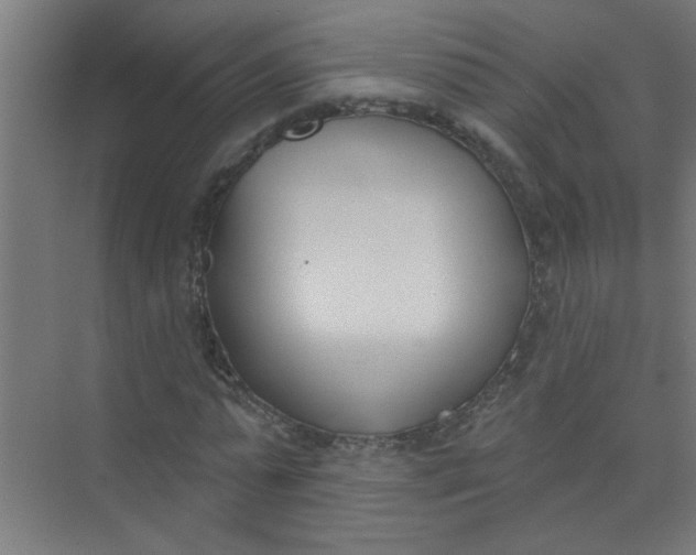 X0000073970775200609051844