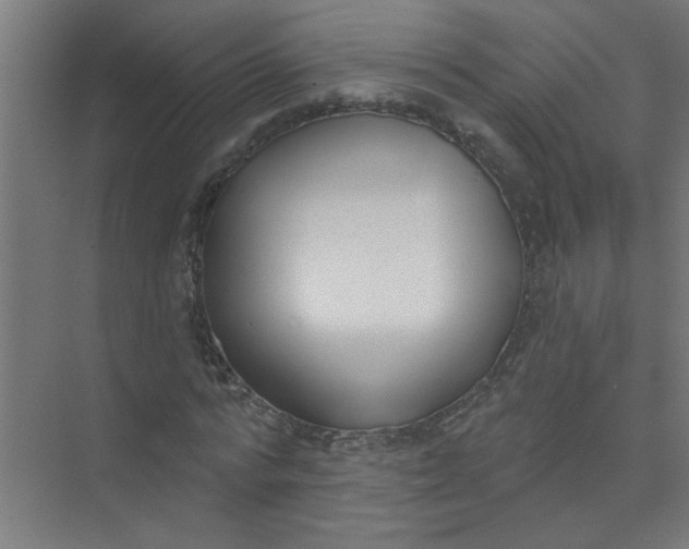 X0000073970776200609051844