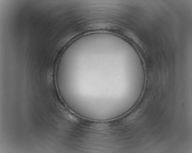 X0000073970778200609051844