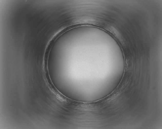 X0000073970780200609051844