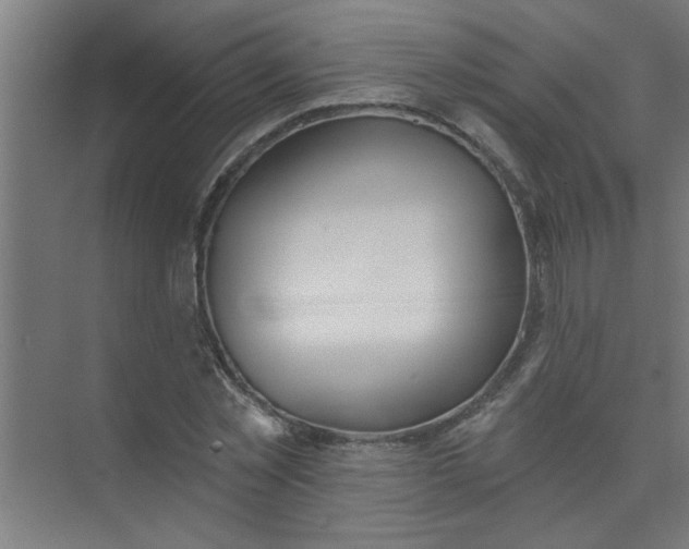 X0000073970781200609051844