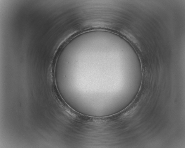 X0000073970782200609051844