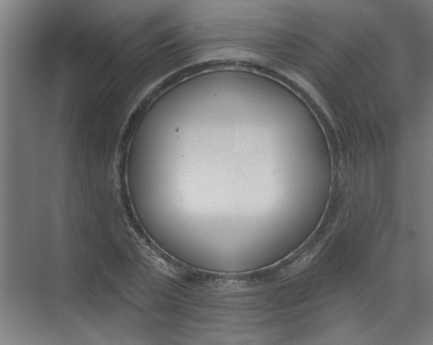 X0000073970783200609051844