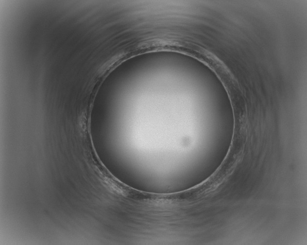 X0000073970785200609051844