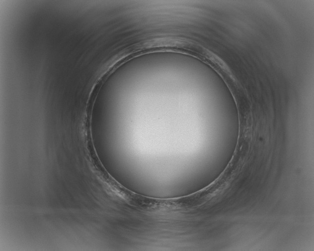 X0000073970786200609051844