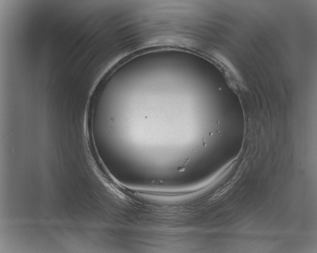 X0000073970788200609051844