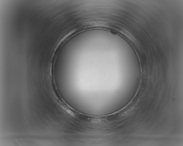 X0000073970790200609051844