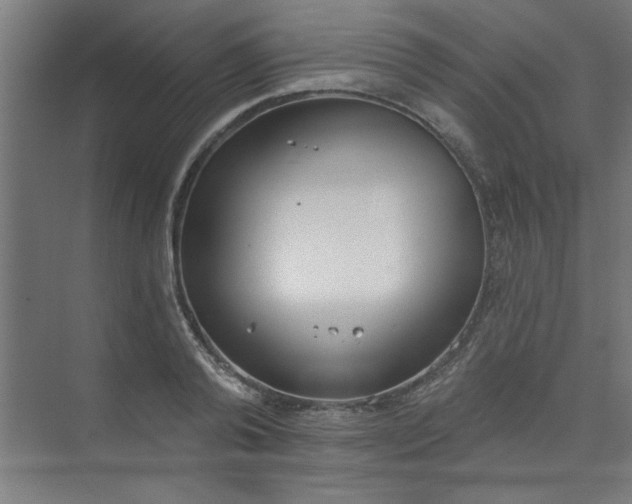 X0000073970792200609051844