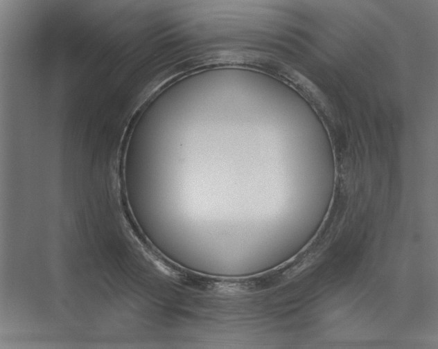 X0000073970794200609051844