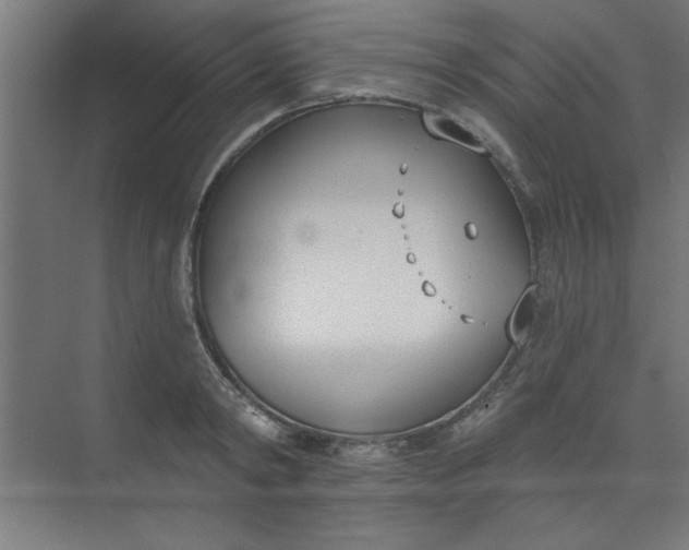 X0000073970798200609051844