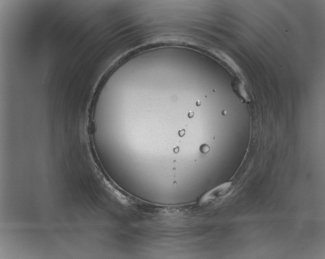 X0000073970799200609051844