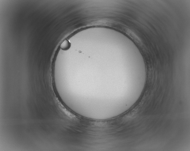 X0000073970800200609051844