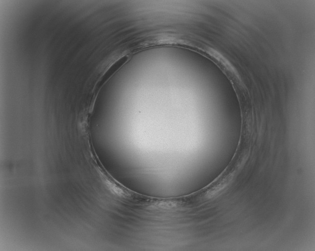 X0000073970801200609051844