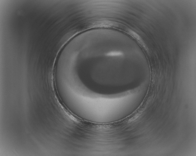 X0000073970802200609051844