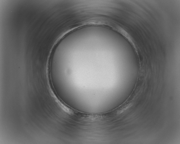 X0000073970803200609051844