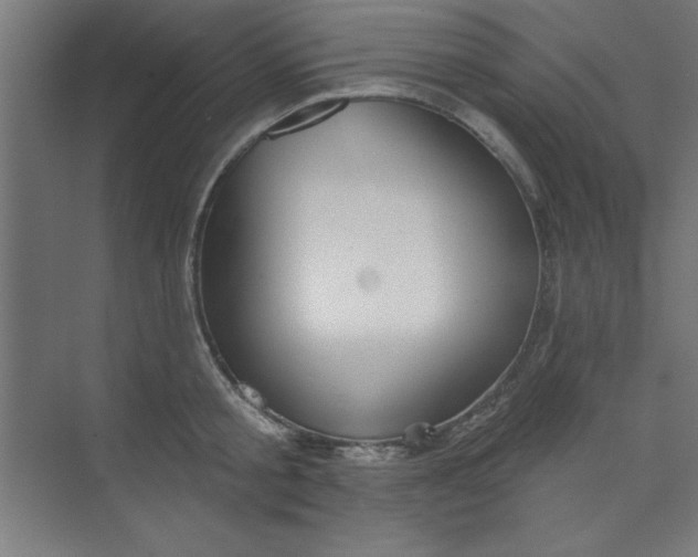 X0000073970805200609051844