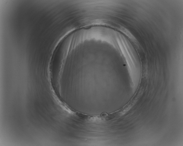 X0000073970806200609051844