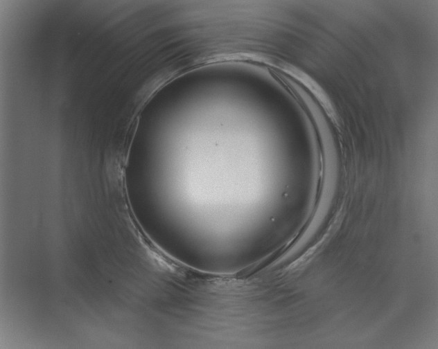 X0000073970809200609051844