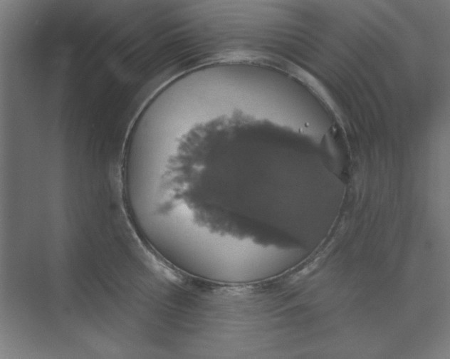 X0000073970810200609051843