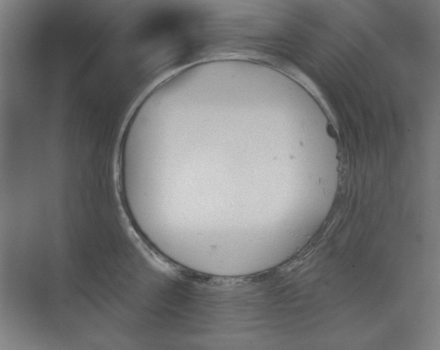 X0000073970811200609051843