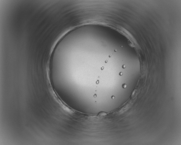 X0000073970812200609051843